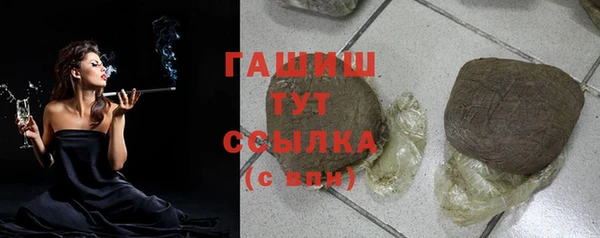 хмурый Магас