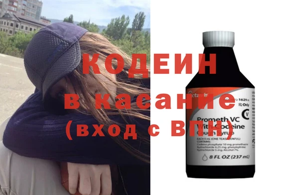 хмурый Магас