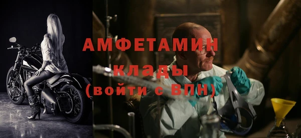 хмурый Магас