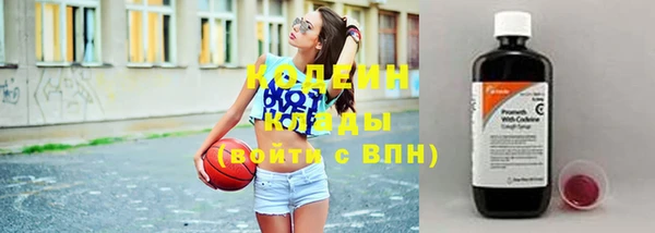 хмурый Магас
