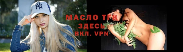 хмурый Магас