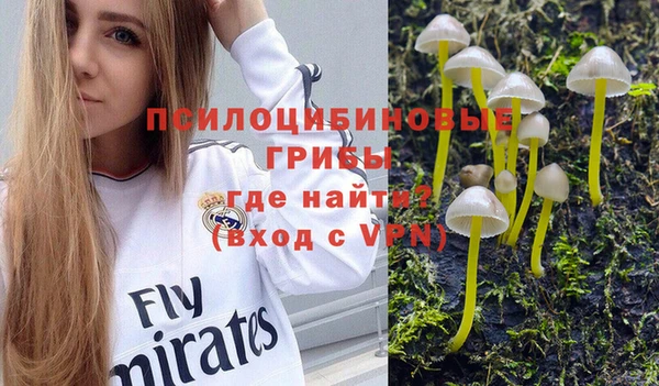 дмт Магадан