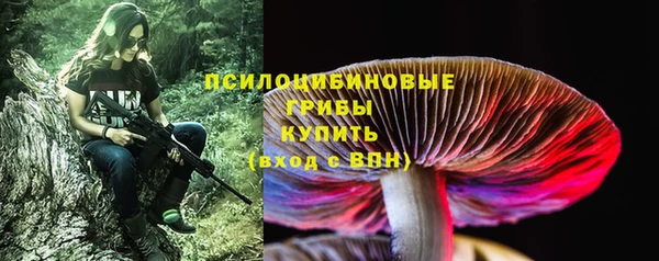 дмт Магадан