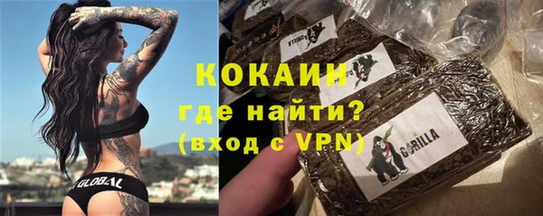 хмурый Магас