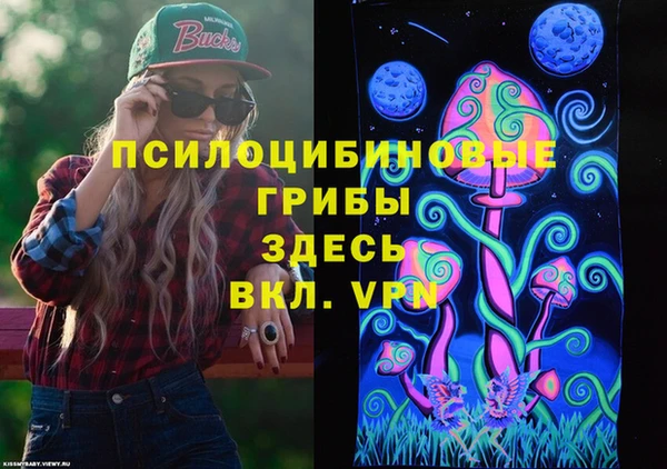 хмурый Магас