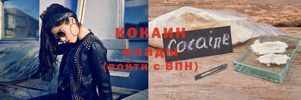 хмурый Магас