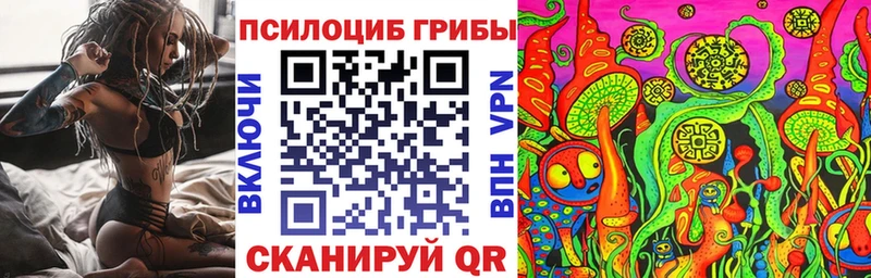купить наркотик  Весьегонск  Галлюциногенные грибы прущие грибы 